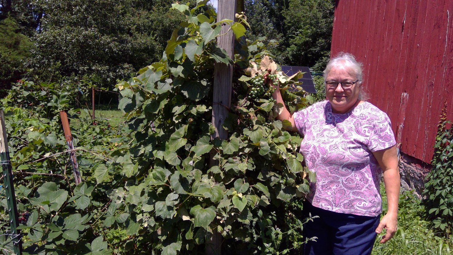 Dianne Combs poses near her soft fruit and berry crops at her West Wabash Avenue home.
